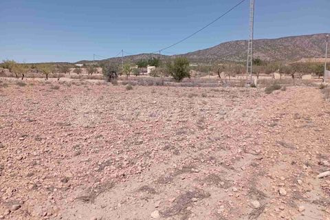 Helårsgrund i Pinoso, Alicante, Pinoso - € 39.000 | Ref: SF0515 - foto 2